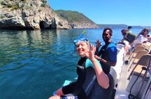 Snorkeling experience in Arrábida's secluded bays
