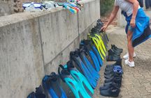 Snorkeling experience in Arrábida's secluded bays