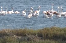 Apollonia Park, Narta Lagoon and Vlore 1-Day Tour