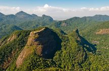 Guided half-day Tijuca forest express hike