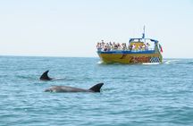 Dolphin watching and Benagil cave cruise in Albufeira