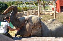Terra Natura Zoo tickets
