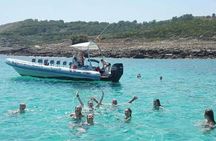 Half-day cruise to Formentor beach from Alcudia