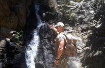 Waterfalls of Gran Canaria hiking tour with pickup and lunch