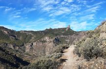Full-day hiking tour in Gran Canaria: route of the week