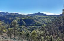 Full-day hiking tour in Gran Canaria: route of the week