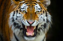 Terra Natura Zoo + Aqua Natura combined tickets