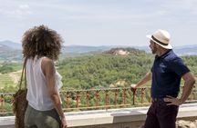Chateauneuf-du-Pape and Luberon tour with wine tasting