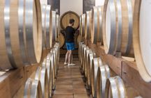 Chateauneuf-du-Pape and Luberon tour with wine tasting
