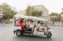 Málaga electric tuk tuk tour