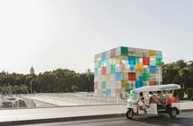 Málaga electric tuk tuk tour
