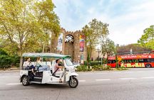 2-hour expert tour of Barcelona in a private electric tuk-tuk