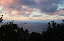 Terceira Island sunset tour