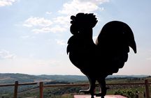Chianti afternoon experience with two wine tastings