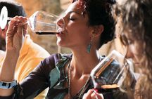Chianti afternoon experience with two wine tastings
