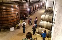 Full-day Douro Valley and wineries tour