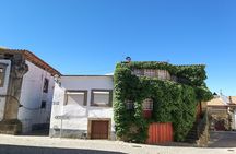 Full-day Douro Valley and wineries tour