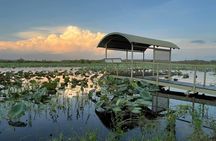 Jumping Crocodiles and Wildlife Adventure Tour from Darwin