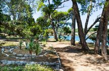 Croatian islands private speedboat tour from Zadar