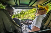 Day trip to Paradise Peak with transportation