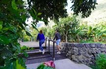 Ticket for the Ethnographic Park of La Gomera with wine tasting