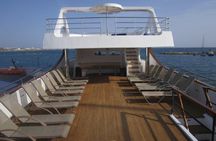 Sea Star full-day cruise from Paphos