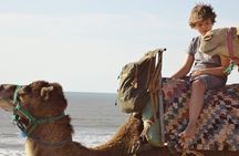 Guided camel ride in Essaouira