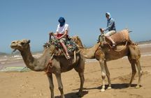 Guided camel ride in Essaouira