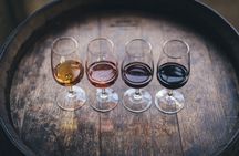 Discovering Chianti e-bike tour and wine tasting