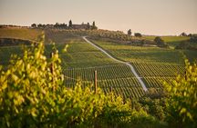 Discovering Chianti sunset e-bike tour with dinner