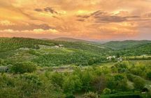 Discovering Chianti sunset e-bike tour with dinner
