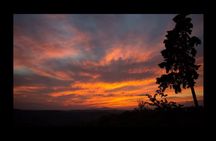 E-Vespa tour at sunset with dinner in Chianti countryside