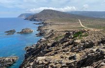 Minivan day tour to Asinara National Park from Stintino