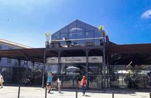 Aveiro and Costa Nova beach private tour