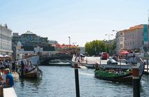Aveiro and Costa Nova beach private tour