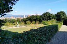 Pitti Palace, Palatine Gallery and Boboli Gardens guided tour for small groups