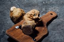 E-Vespa tour with truffle hunt and dinner in Chianti countryside