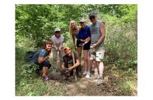 E-Vespa tour with truffle hunt and dinner in Chianti countryside