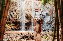 Mauritius waterfall trekking at Bel Ombre Nature Reserve
