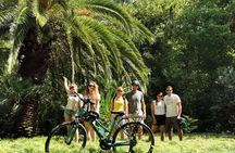 Athens Old Town and Acropolis guided e-bike tour