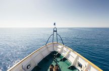Boat safari from Larnaca