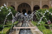 Complete guided tour of the Alhambra and City Card