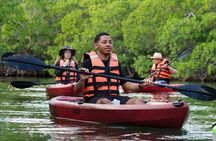 Sunset kayak tour in Cancun Nichupté Lagoon