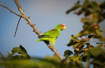 Cancun Nichupté Lagoon morning kayak experience