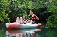 Cancun Nichupté Lagoon morning kayak experience