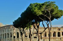 Restricted areas tour of Gladiator's Arena and Roman Forum