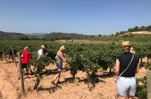 Guided tour to a winery with wine tasting from Barcelona