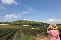 Guided tour to a winery with wine tasting from Barcelona