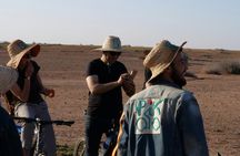 Bike tour in Marrakech's palmgroove with a local guide