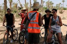 Bike tour in Marrakech's palmgroove with a local guide